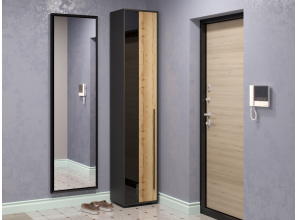 Пенал сек. №6 НКМ Аэлита