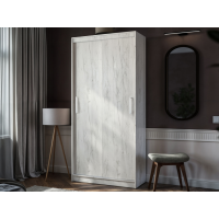 Шкаф-купе ПШ-1.10 Пегас (1,0 м)