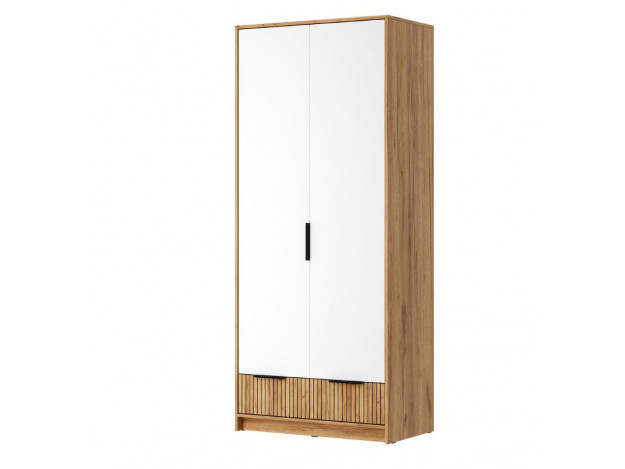 ИВИС Шкаф ШК-002  модуль 5