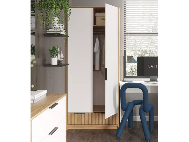 Шкаф ШК-002 ИВИС  	 