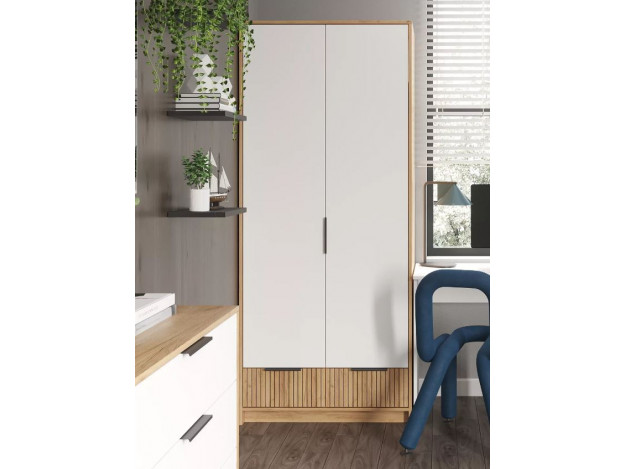 Шкаф ШК-002 ИВИС  	 