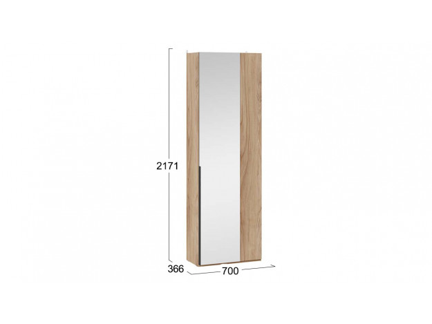 Шкаф для одежды (366) с 1 глухой и 1 зеркальной дверями «Порто» мод 15