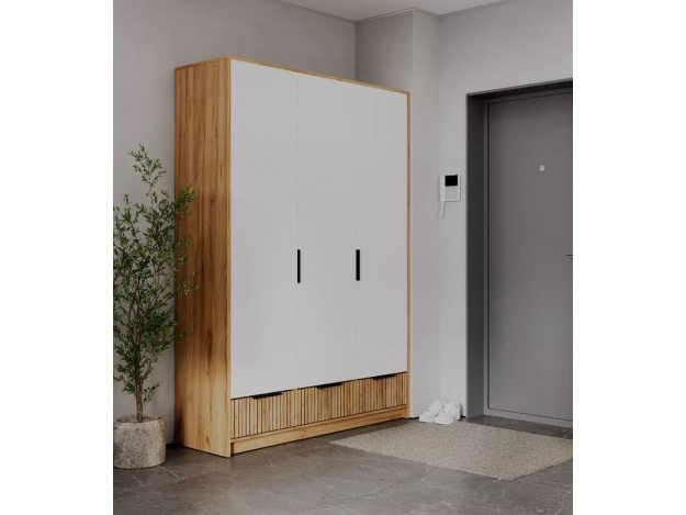 Шкаф ШК-003 ИВИС 